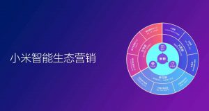 小米创造了哪些价值营销理念？—