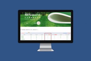 博格运动地板网络营销服务案例