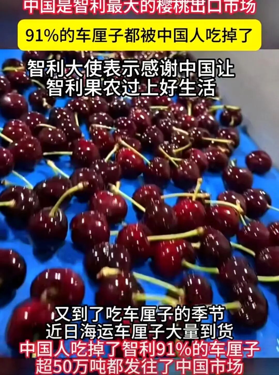 车厘子价格大跳水！2026年实现&ldquo;自由&rdquo;竟这么容易？（images 1）