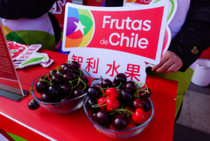 车厘子价格大跳水！2026年实现“自由”竟这么容易？