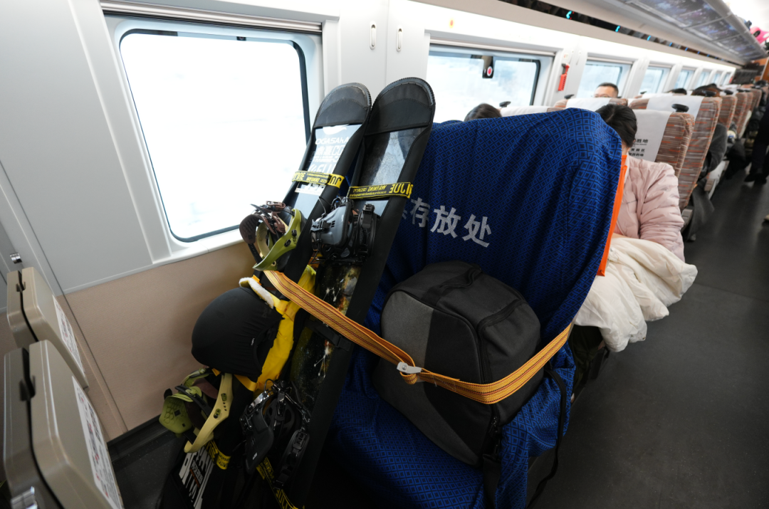 2026春运12306车次&ldquo;暗号&rdquo;大揭秘！雪、宠、静这些字到底啥意思？（images 2）